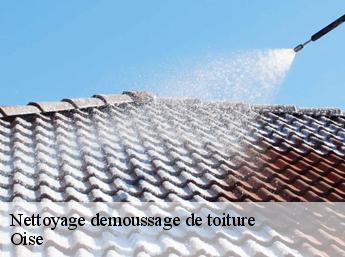 Nettoyage demoussage de toiture Oise 