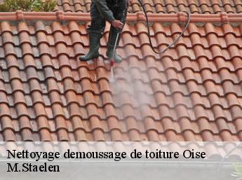 Nettoyage demoussage de toiture Oise 