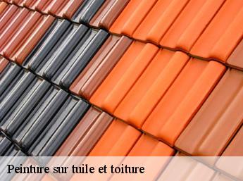 Peinture sur tuile et toiture Oise 