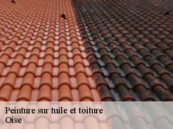 Peinture sur tuile et toiture Oise