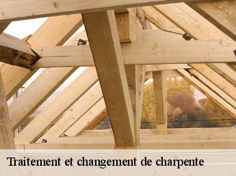 Traitement et changement de charpente Oise 