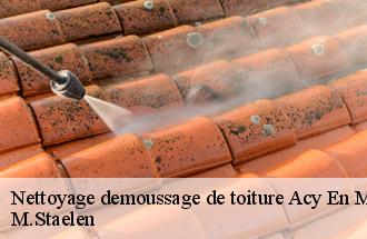 Nettoyage demoussage de toiture  acy-en-multien-60620 M.Staelen