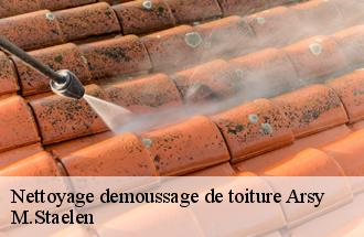 Nettoyage demoussage de toiture  arsy-60190 M.Staelen