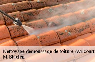 Nettoyage demoussage de toiture  avricourt-60310 M.Staelen