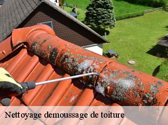 Nettoyage demoussage de toiture