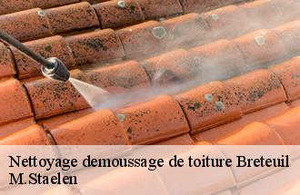 Nettoyage demoussage de toiture  breteuil-60120 M.Staelen