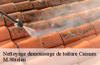 Nettoyage demoussage de toiture  caisnes-60400 M.Staelen