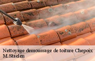 Nettoyage demoussage de toiture  chepoix-60120 M.Staelen