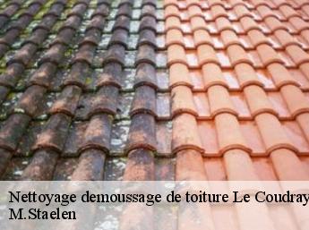 Nettoyage demoussage de toiture