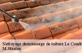Nettoyage demoussage de toiture  le-coudray-sur-thelle-60790 M.Staelen