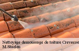 Nettoyage demoussage de toiture  crevecoeur-le-grand-60360 M.Staelen