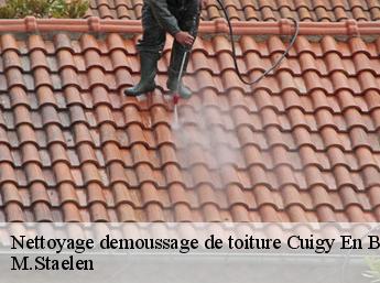 Nettoyage demoussage de toiture 60850