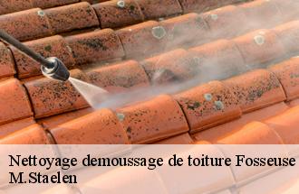 Nettoyage demoussage de toiture  fosseuse-60540 M.Staelen