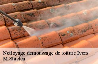 Nettoyage demoussage de toiture  ivors-60141 M.Staelen