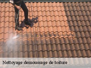 Nettoyage demoussage de toiture 60190
