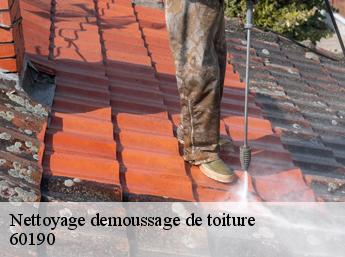 Nettoyage demoussage de toiture 60190