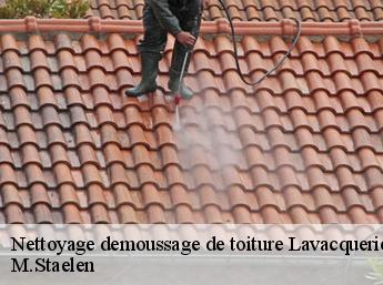 Nettoyage demoussage de toiture 60120