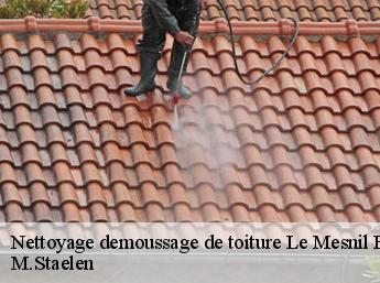 Nettoyage demoussage de toiture 60530
