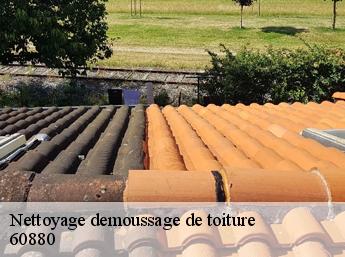 Nettoyage demoussage de toiture