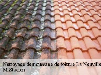 Nettoyage demoussage de toiture