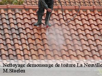 Nettoyage demoussage de toiture  60112