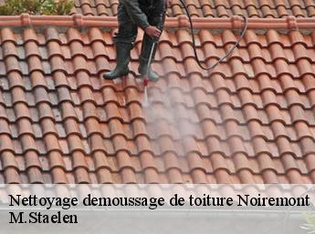 Nettoyage demoussage de toiture 60480