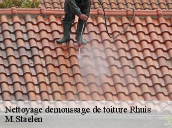Nettoyage demoussage de toiture 60410