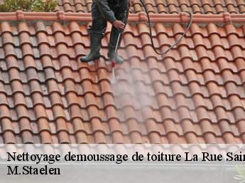 Nettoyage demoussage de toiture 60510