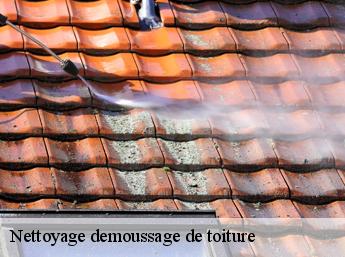 Nettoyage demoussage de toiture