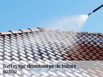 Nettoyage demoussage de toiture 60800