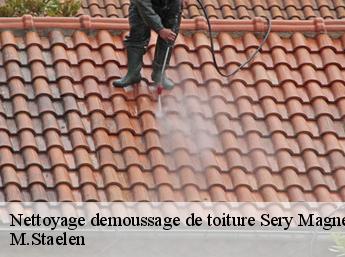 Nettoyage demoussage de toiture 60800