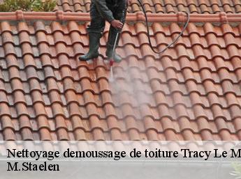 Nettoyage demoussage de toiture  60170