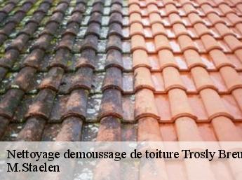 Nettoyage demoussage de toiture