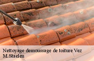 Nettoyage demoussage de toiture  vez-60117 M.Staelen