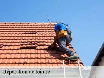 Réparation de toiture  60480