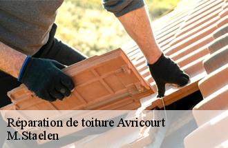 Réparation de toiture  avricourt-60310 M.Staelen