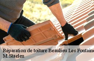 Réparation de toiture  beaulieu-les-fontaines-60310 M.Staelen