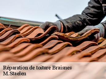 Réparation de toiture 60113