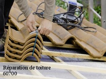 Réparation de toiture 60700