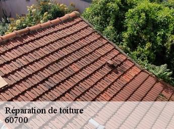 Réparation de toiture 60700