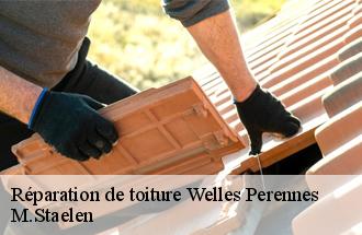 Réparation de toiture  welles-perennes-60420 M.Staelen