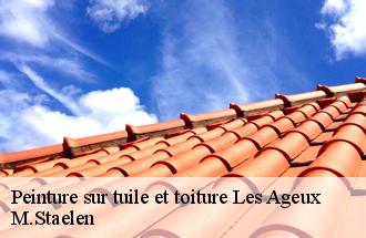 Peinture sur tuile et toiture  les-ageux-60700 M.Staelen