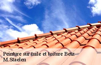 Peinture sur tuile et toiture  betz-60620 M.Staelen