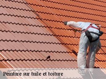 Peinture sur tuile et toiture