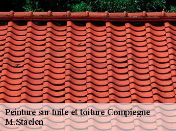 Peinture sur tuile et toiture