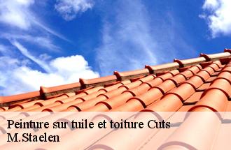 Peinture sur tuile et toiture  cuts-60400 M.Staelen