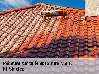 Peinture sur tuile et toiture 60110