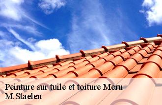 Peinture sur tuile et toiture meru-60110 IF rénovation couverture