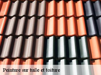 Peinture sur tuile et toiture