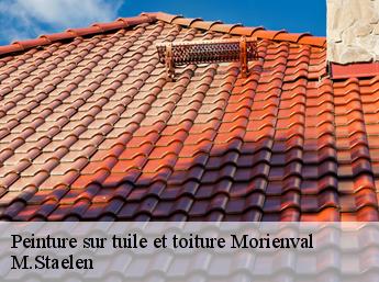 Peinture sur tuile et toiture 60127